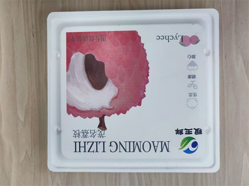 濕壓水果、茶葉、月餅紙托 (2)